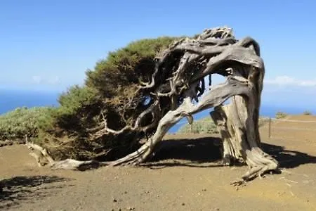 Amasin * Valverde (El Hierro)